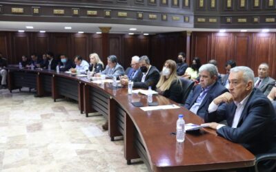 AIFEM presente en la consulta publica con el sector privado