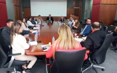 Reunión AIFEM y otras Cámaras con el Ministerio de Transporte